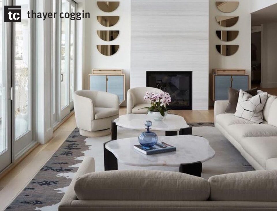 Thayer Coggin Roxy Chairs at Studio J Furniture Store in Central Ohio